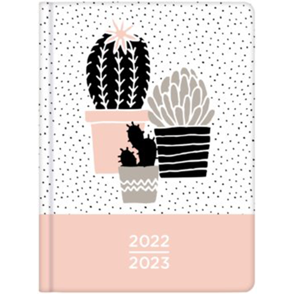 Empik - Kalendarz książkowy, 18-miesięczny, 2022_2023 Kaktusy
