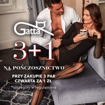 3+1 NA POŃCZOSZNICTWO