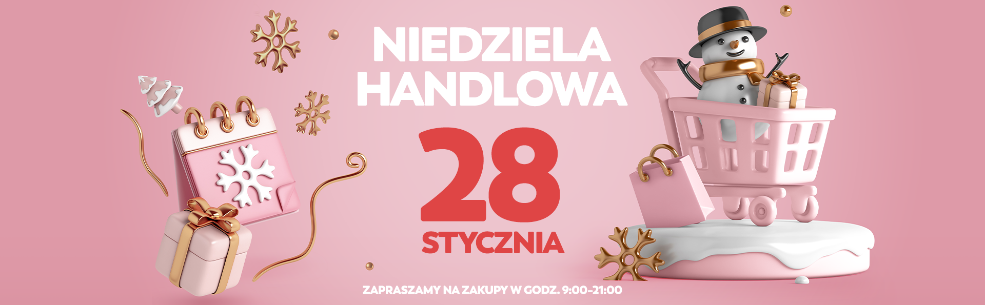 Crazy Carts - Centrum Handlowe Focus w Bydgoszczy